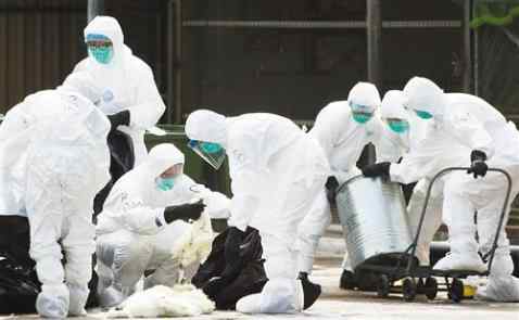 31省区市新增确诊75例 本土55例 中国今日新增确诊多少例