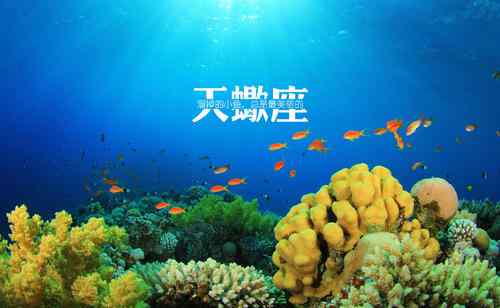 天蝎男不肯放手的女人 天蝎一生无法放弃的星座