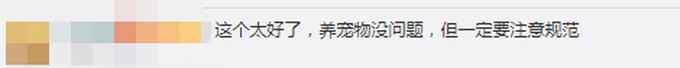 @所有狗主人 5月1日起遛狗不拴绳违法
