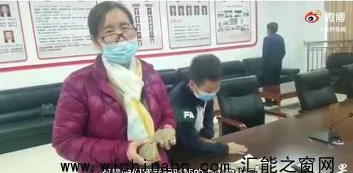 10岁男孩游玩时发现古生物化石 究竟发生了什么