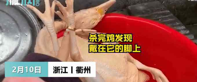 过年杀鸡找到丢失多年金戒指