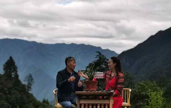 迪庆旅游 拼多多云南迪庆旅游大联播：150万人云游香格里拉