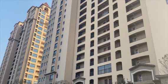 新华社记者调查长江口建空城
