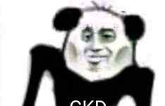 gkd什么梗 GKD是什么梗