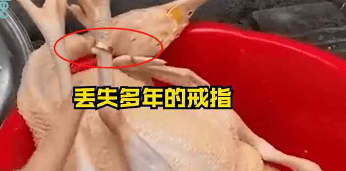 过年杀鸡找到丢失多年金戒指