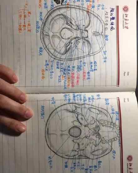 我长大了想当一名医生 当孩子说：“我长大了也想当一名医生”，告诉他这4点，真的很重要！
