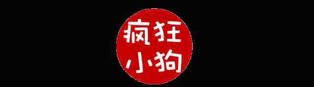 幼犬喜欢咬主人手和脚怎么办 狗狗总是喜欢咬人手？是你没学会这7个方法