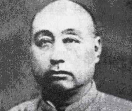 岳维峻 徐向前抓了一个国军将领，原本准备放了，为何又被枪决文章配图