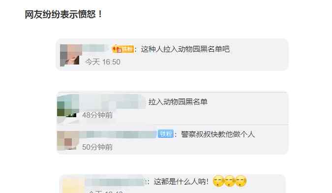 游客喂大象塑料袋 引发众怒 还原事发经过及背后原因！