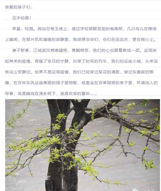 战役家书 东风小学的“一封战役家书”文章配图