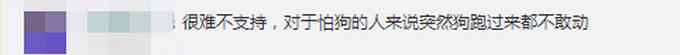 @所有狗主人 5月1日起遛狗不拴绳违法