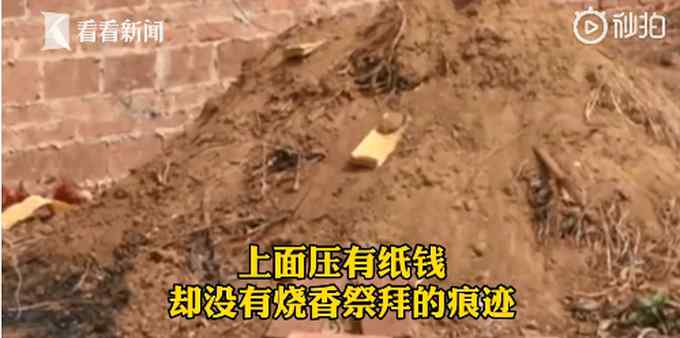 林地上一夜之间冒出36座新坟？挖开后网友都看不下去了：都是假的！
