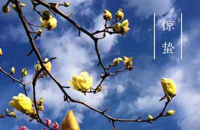 2021惊蛰节气是哪一天 惊蛰节气是啥意思