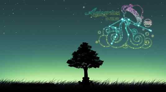把水瓶伤的最惨的星座 哪个星座看不起水瓶座