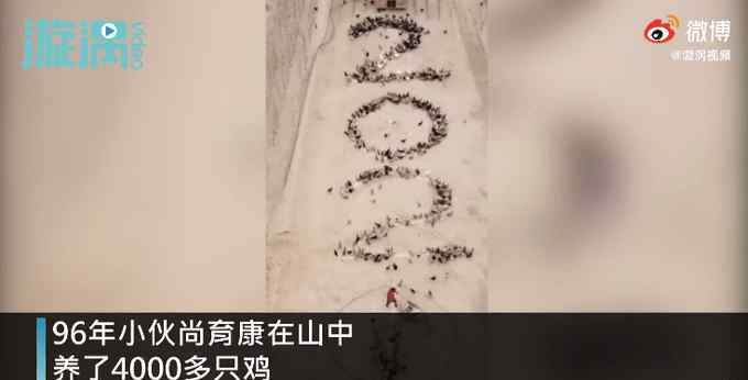 小伙指挥4千只鸡摆出牛气冲天