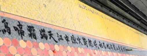 唐诗在加拿大火了 到底是什么原因？