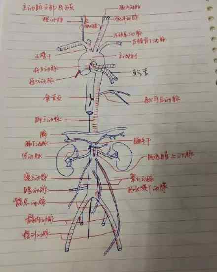 我长大了想当一名医生 当孩子说：“我长大了也想当一名医生”，告诉他这4点，真的很重要！