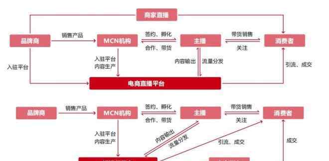 带货主播 2020美妆直播带货报告：80％国货品牌，MCN机构套路多