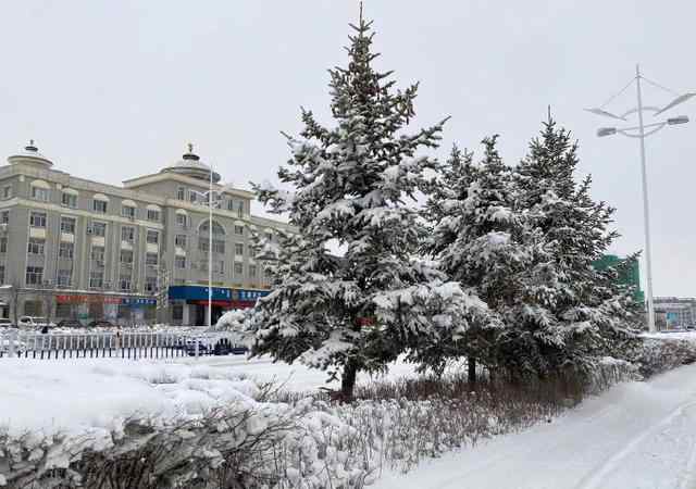 呼伦贝尔4月大雪纷飞！现场图让网友迷茫了：再过两个月都入夏了