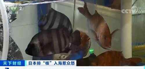 首尔一大型超市挂抵制日货标语 对日产海鲜追溯监督 具体是什么情况？