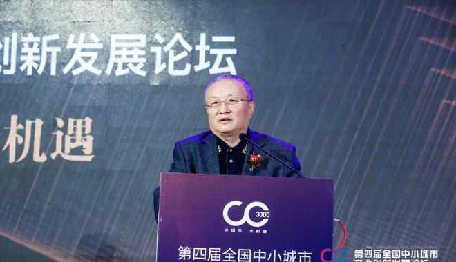 马龙产业 马龙龙：下沉市场的商业发展要关注四大开发趋势