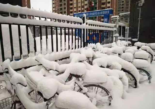 呼伦贝尔4月大雪纷飞！现场图让网友迷茫了：再过两个月都入夏了
