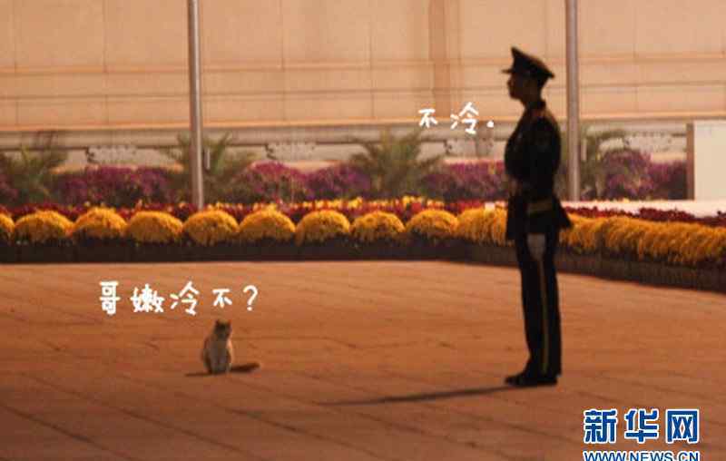天安门喵星人 天安门喵星人PK执勤武警萌翻网友（组图）