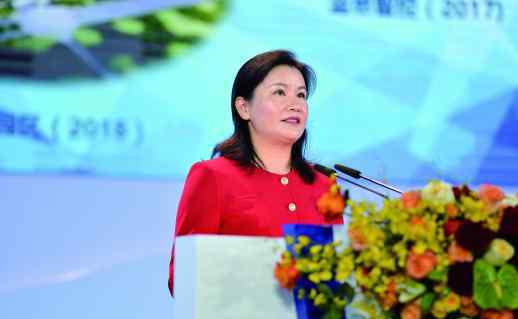 宇业集团 未来将如何投资湖南、建设湖南，听6位新湘商代表的讲述