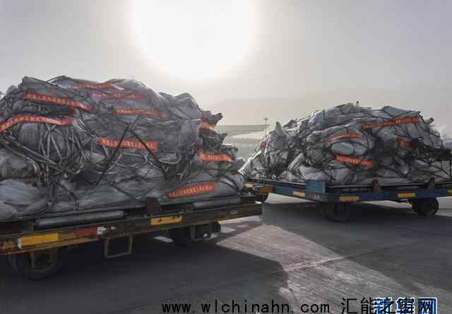 西藏阿里捐赠河北4000公斤羊肉 一方有难八方支援