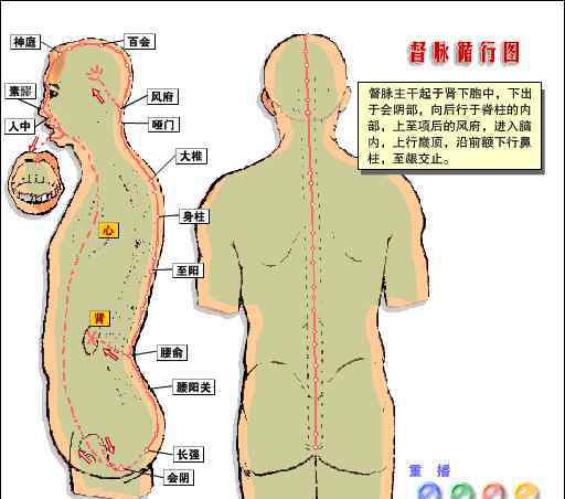 虾是寒性的吗 虾到底是热性的还是寒性的，孩子能不能多吃？99%的人都搞错了！