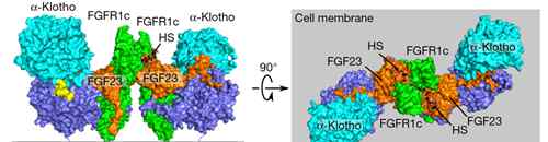 发nature 温州医科大学首次以第一单位在国际顶级期刊Nature发表论文