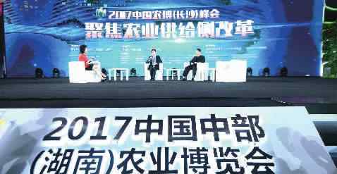 农业博览会2017 2017中国中部（湖南）农博会回眸