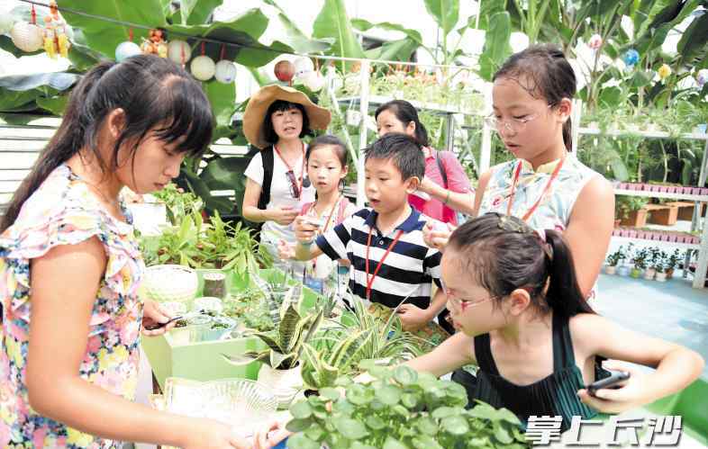 长沙治失眠王国陶高效 这个暑假，名望之城成为欢乐王国