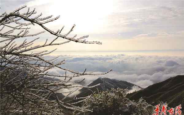 湖南下雪 “美爆了!”湖南多地加入下雪阵营 长沙初雪冲上热搜