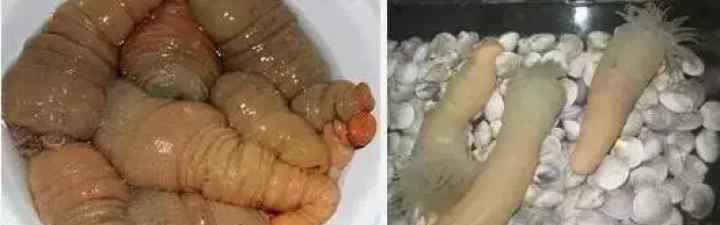 暗黑界 这些“传说级”的温州暗黑界美食 你吃过几道？