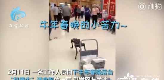 春晚后台机器牛送盒饭 这是什么情况
