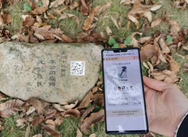 李咏的坟墓图片 致敬！温州七旬老农将坟山打造成生态公园