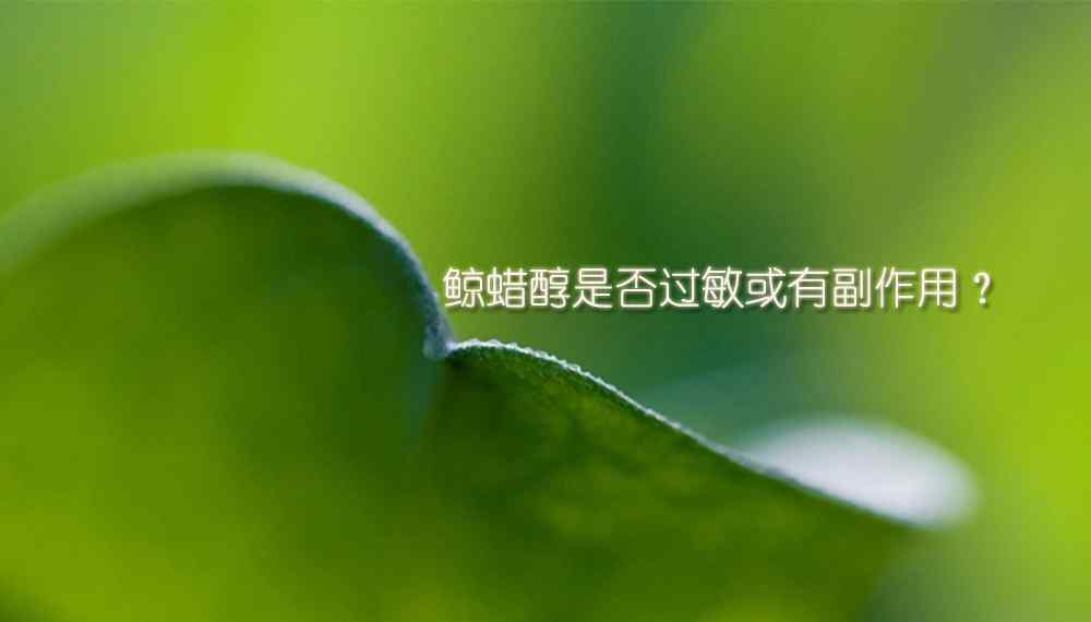鲸蜡醇 【鲸蜡醇供应采购】鲸蜡醇是否会有过敏性？