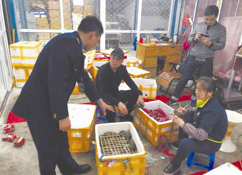 蝤蛑 温州市水产批发市场蝤蛑全“松绑”