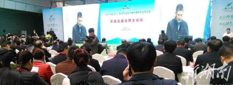 长沙房交会 60家名盘10大活动  长沙第37届房交会今日盛大开幕