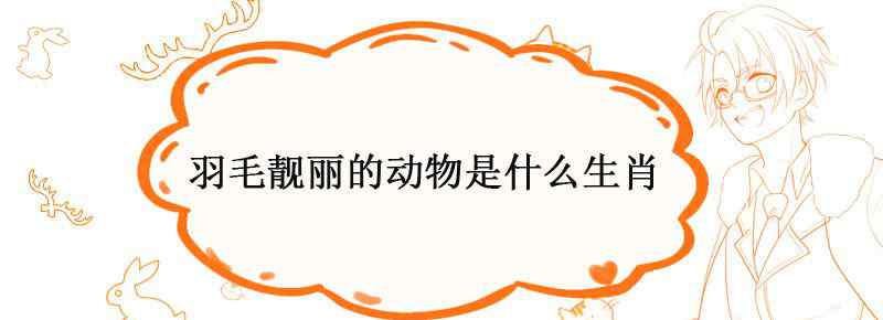 羽毛靓丽的动物是什么生肖