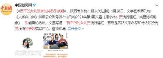 贾平凹女儿发表的诗歌引质疑 到底是什么状况？