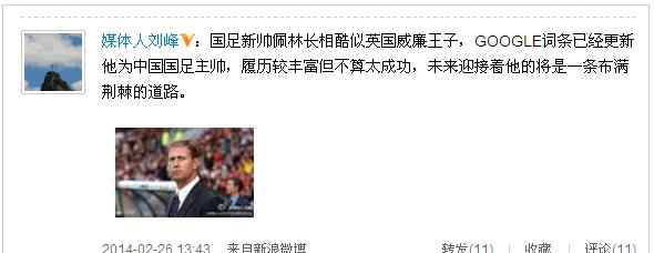 阿兰佩林 法国教练阿兰佩林任国足新帅 履历丰富但不算成功