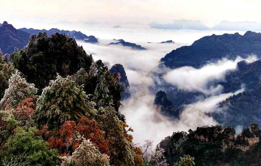 千百撸最新域名 众里寻湘千百“度”，总有一“度”感动你！