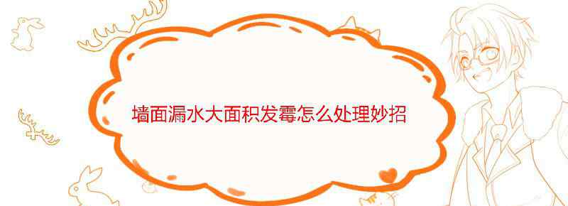 墙面漏水大面积发霉怎么处理妙招