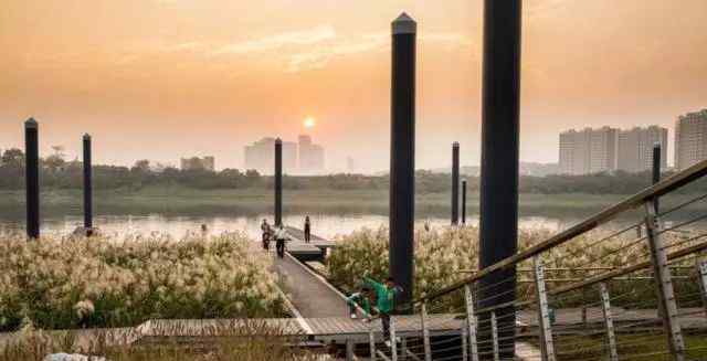生态景观 “ELA生态景观奖”中国十佳案例发布 长沙有家公园上榜