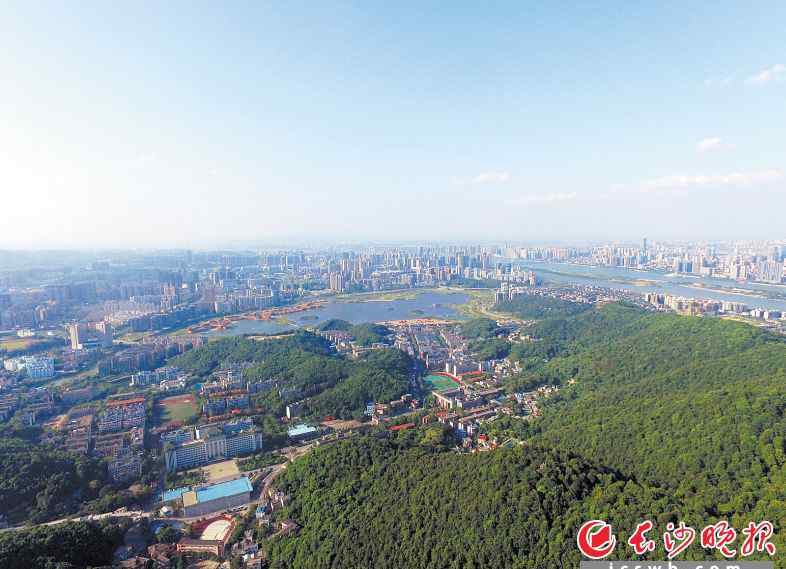 臭氧污染 蓝天白云下的"隐形杀手"不可小觑 臭氧成为首要空气污染物