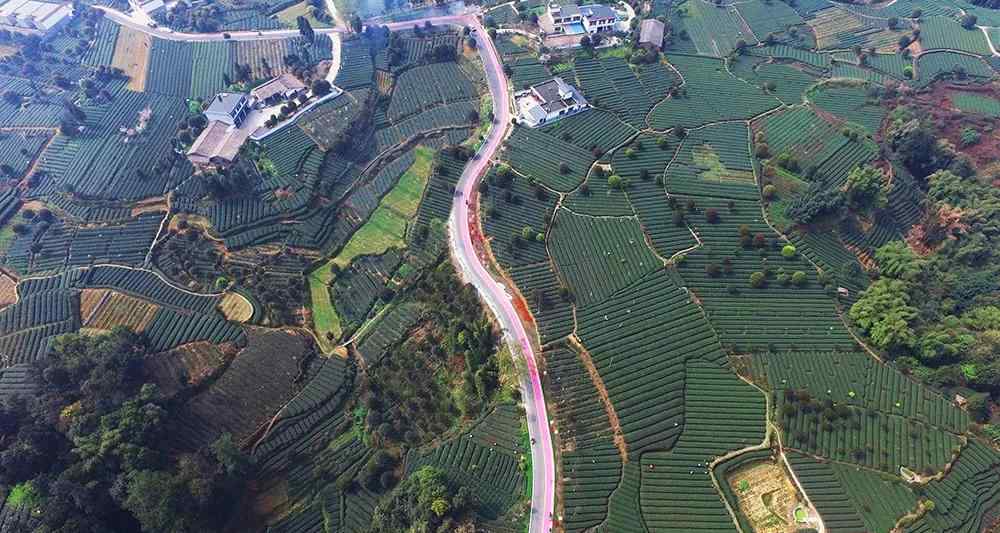 悟乐大师 清代蜀学大师吴之英与蒙顶山茶文章配图