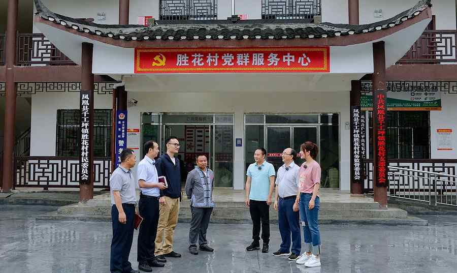 茶叶党 胜花村党建引领构建美好乡村，产业发展助力乡村振兴
