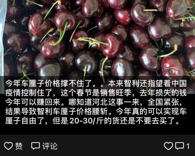 腰斩 车厘子价格“腰斩”，没你想的这么简单